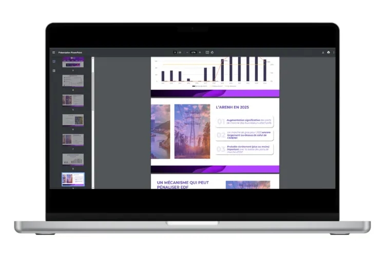 Quel avenir pour l'ARENH en 2025 et le marché post ARENH ?